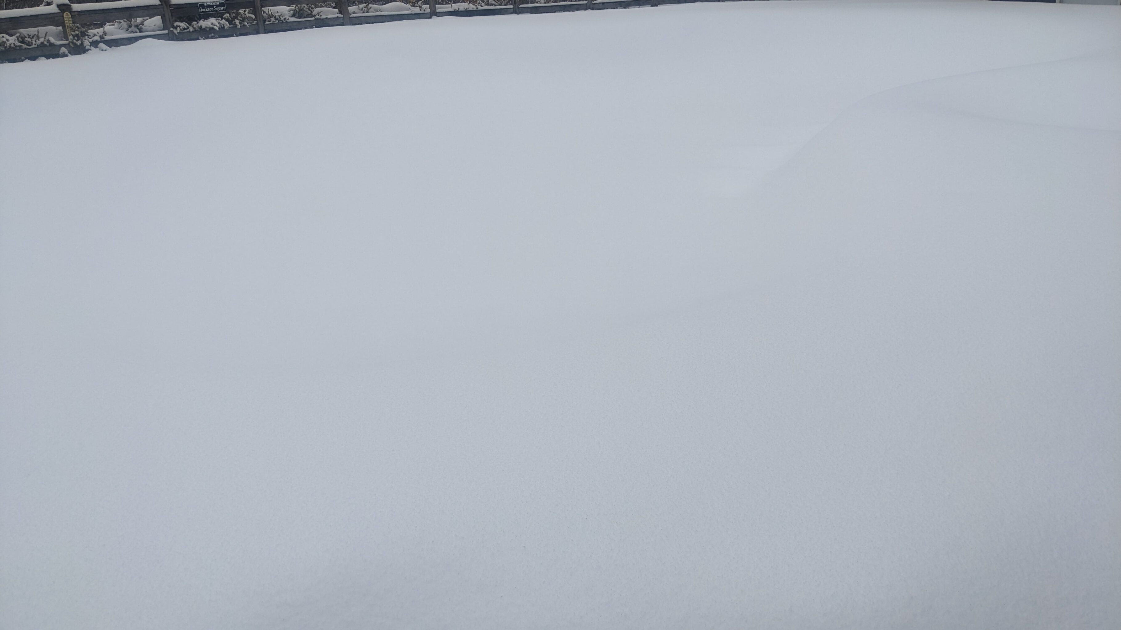 Snow-covered ground with distant fence.